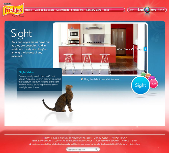 Flash Video Site